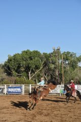 Wild, Wild West Rodeo 061023