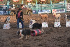 Wild, Wild West Rodeo 061023