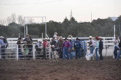 Wild, Wild West Rodeo 061023