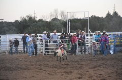 Wild, Wild West Rodeo 061023