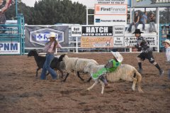 Wild, Wild West Rodeo 061023