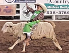 Wild, Wild West Rodeo finals 06102
