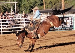 Wild, Wild West Rodeo finals 06102