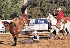 Wild, Wild West Rodeo finals 06102