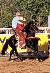 Wild, Wild West Rodeo finals 06102