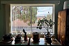 PreventWindow