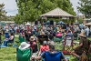 BluesFest1