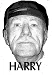 harryball