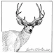 mule deer 2023 11 06 00 49 13 utc